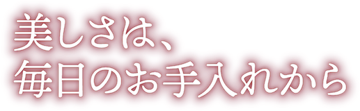 美しさは、毎日のお手入れから